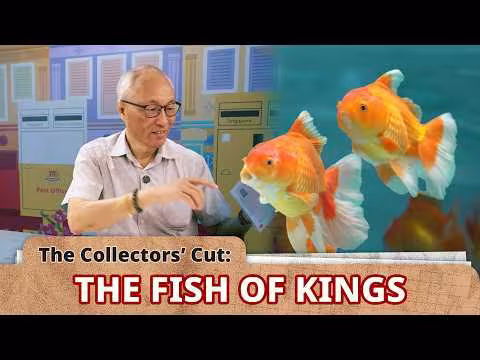  The Collectors' Cut - The Fish of Kings